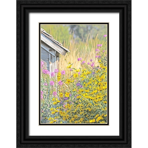 Wildflowers By Shack Black Ornate Wood Framed Art Print with Double Matting by Schell, Jennie Marie