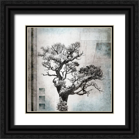 August Tree 4 Black Ornate Wood Framed Art Print with Double Matting by LightBoxJournal