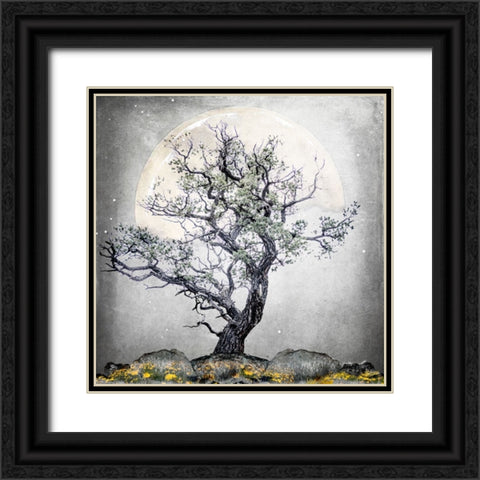 August Tree 5 Black Ornate Wood Framed Art Print with Double Matting by LightBoxJournal