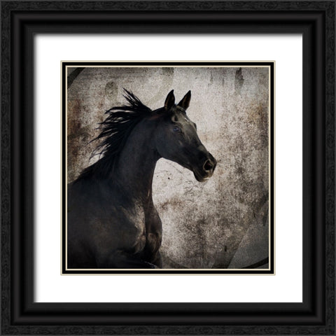 GypsyHorse Collection V1 4 Black Ornate Wood Framed Art Print with Double Matting by LightBoxJournal