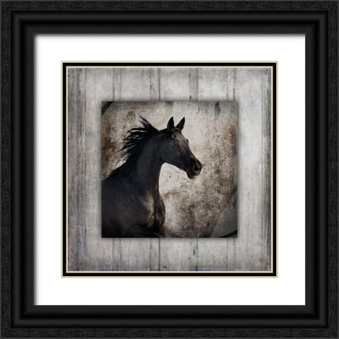 GypsyHorse Collection V1 5 Black Ornate Wood Framed Art Print with Double Matting by LightBoxJournal