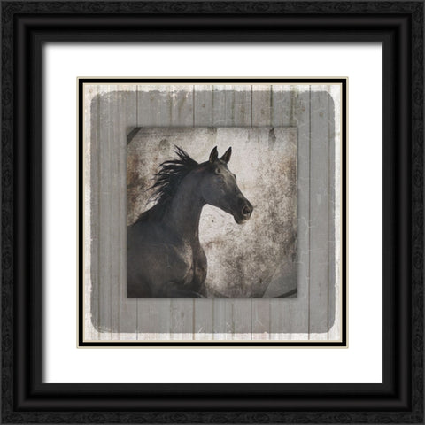 GypsyHorse Collection V1 10 Black Ornate Wood Framed Art Print with Double Matting by LightBoxJournal