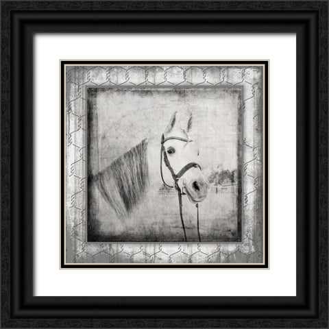 MyFarmMyWay V6 2 Black Ornate Wood Framed Art Print with Double Matting by LightBoxJournal