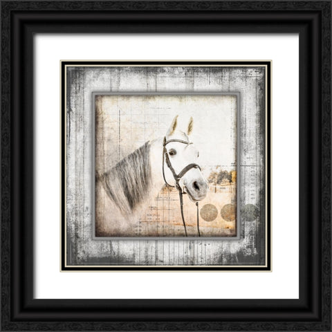 MyFarmMyWay V6 3 Black Ornate Wood Framed Art Print with Double Matting by LightBoxJournal