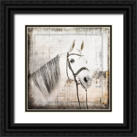 MyFarmMyWay V6 6 Black Ornate Wood Framed Art Print with Double Matting by LightBoxJournal