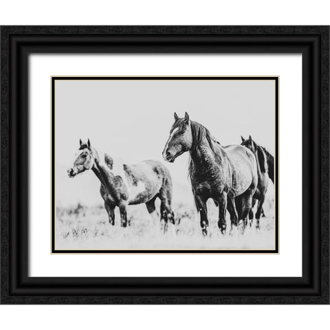Wild Horses of the Great Basin 04 Black Ornate Wood Framed Art Print with Double Matting by LightBoxJournal