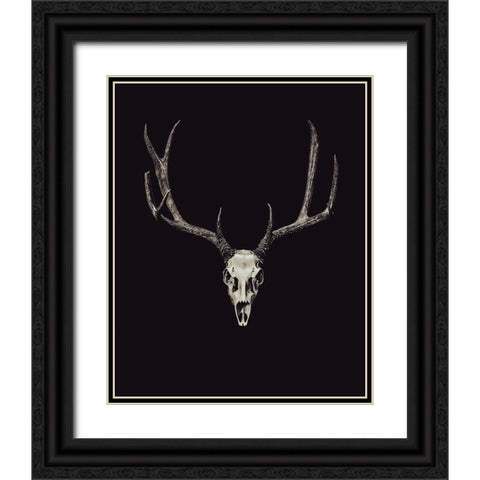 The Rustic Antler 04 Black Ornate Wood Framed Art Print with Double Matting by LightBoxJournal