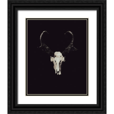 The Rustic Antler 05 Black Ornate Wood Framed Art Print with Double Matting by LightBoxJournal