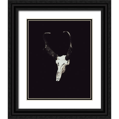 The Rustic Antler 07 Black Ornate Wood Framed Art Print with Double Matting by LightBoxJournal