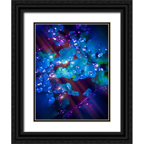 IMG_7586 Black Ornate Wood Framed Art Print with Double Matting by Love Grams