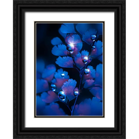 IMG_7587 Black Ornate Wood Framed Art Print with Double Matting by Love Grams