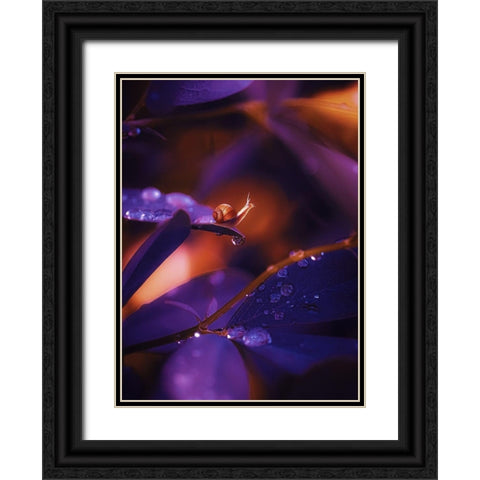 IMG_7588 Black Ornate Wood Framed Art Print with Double Matting by Love Grams