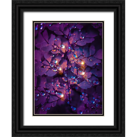 IMG_7591 Black Ornate Wood Framed Art Print with Double Matting by Love Grams