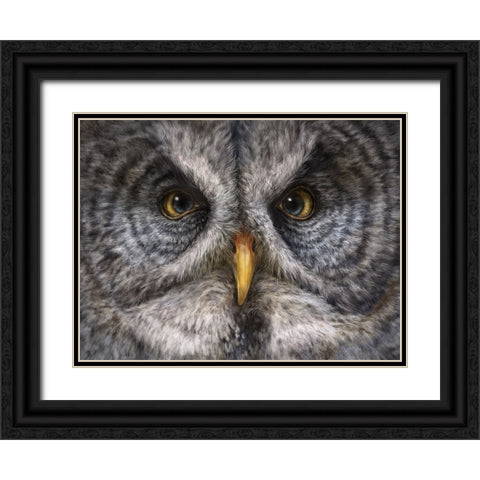 Great Grey Owl Totem Black Ornate Wood Framed Art Print with Double Matting by LaMontagne, Patrick