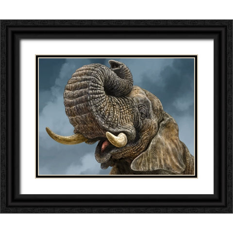 African Elephant Black Ornate Wood Framed Art Print with Double Matting by LaMontagne, Patrick