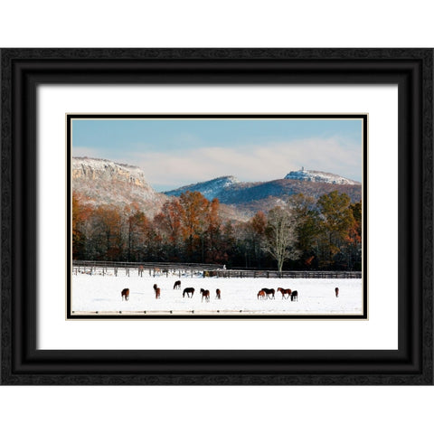 Early Snow Horse Paddock Black Ornate Wood Framed Art Print with Double Matting by Goldwitz, Robert