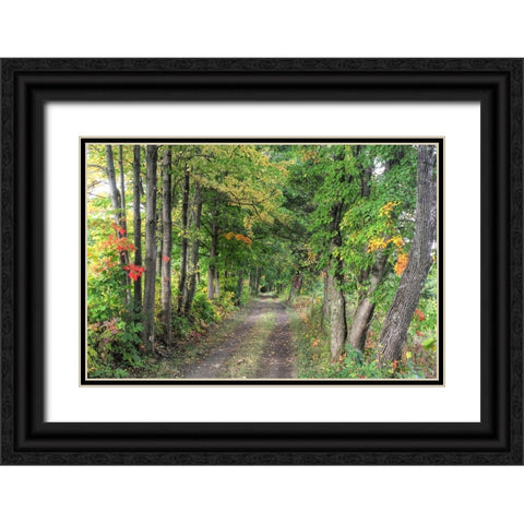 Carriage Path Black Ornate Wood Framed Art Print with Double Matting by Goldwitz, Robert
