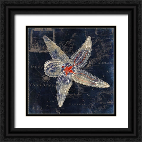 Maritime Blues IV Black Ornate Wood Framed Art Print with Double Matting by Sasha