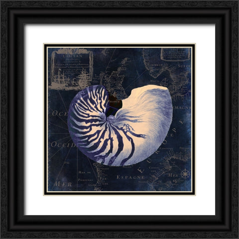 Maritime Blues V Black Ornate Wood Framed Art Print with Double Matting by Sasha