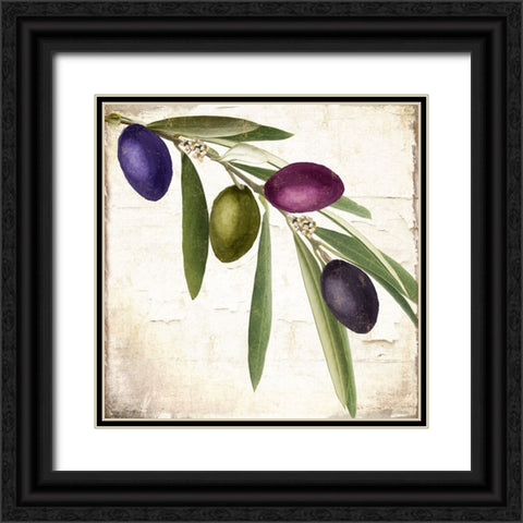 Olive Branch IV Black Ornate Wood Framed Art Print with Double Matting by Sasha