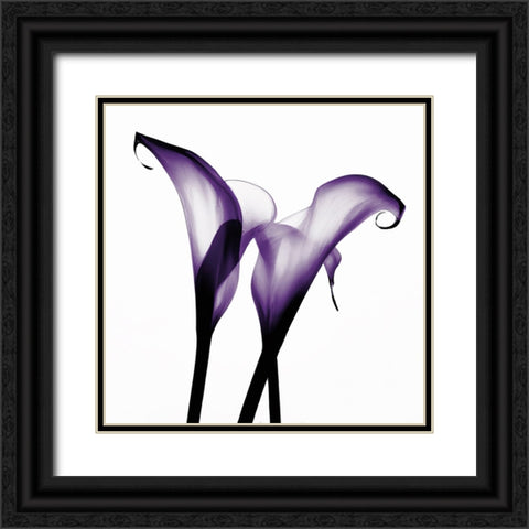 Purple Calla Two Black Ornate Wood Framed Art Print with Double Matting by Sasha