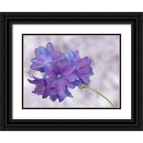 Pretty Me Black Ornate Wood Framed Art Print with Double Matting by Bonin, Suzanne