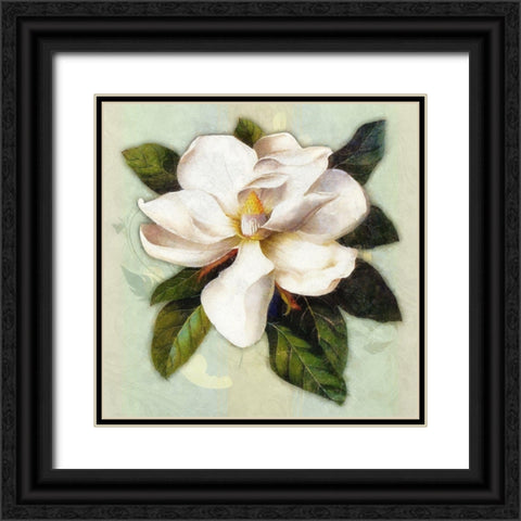 Nouveau Botanica Black Ornate Wood Framed Art Print with Double Matting by Lavoie, Tina