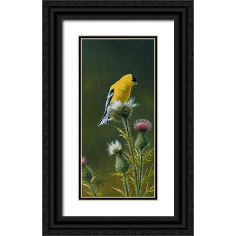 Goldfinch On Thistle Black Ornate Wood Framed Art Print with Double Matting by Goebel, Wilhelm