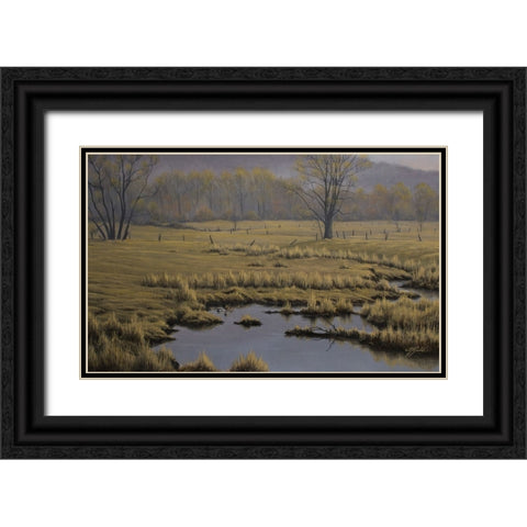 Spring Pasture - Mallard Pair Black Ornate Wood Framed Art Print with Double Matting by Goebel, Wilhelm