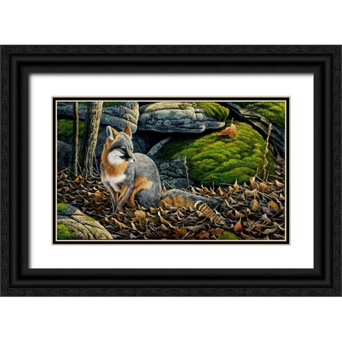 Grey Fox Black Ornate Wood Framed Art Print with Double Matting by Goebel, Wilhelm