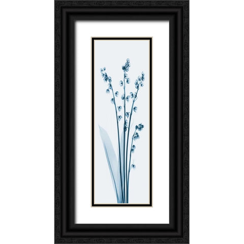 Lily of the Valley in Blue 2 Black Ornate Wood Framed Art Print with Double Matting by Koetsier, Albert