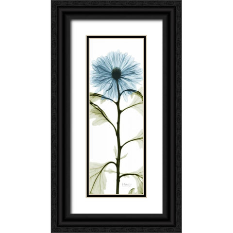 Long Blue Chrysanthemum Black Ornate Wood Framed Art Print with Double Matting by Koetsier, Albert
