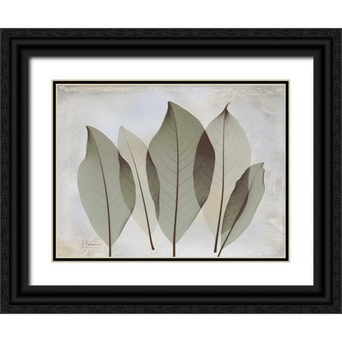 Magnolia Leaf Black Ornate Wood Framed Art Print with Double Matting by Koetsier, Albert