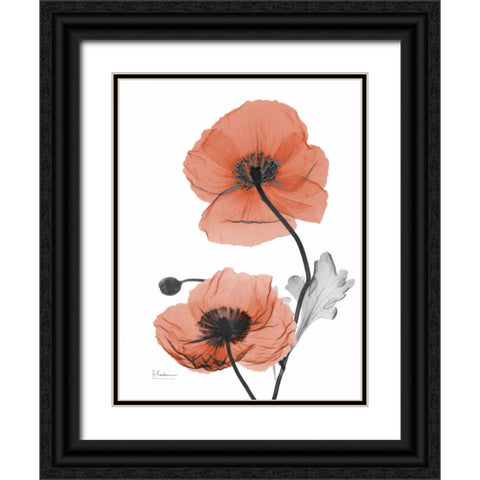 Soft Poppy Black Ornate Wood Framed Art Print with Double Matting by Koetsier, Albert