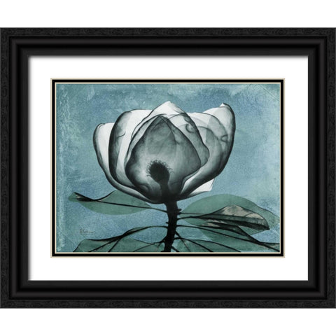 Magnolia Blues 2 Black Ornate Wood Framed Art Print with Double Matting by Koetsier, Albert