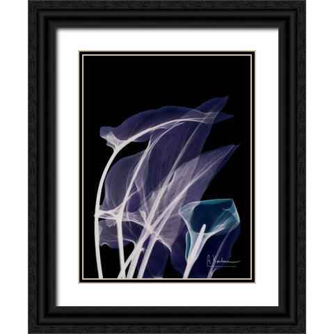 Lily Xray Black Ornate Wood Framed Art Print with Double Matting by Koetsier, Albert