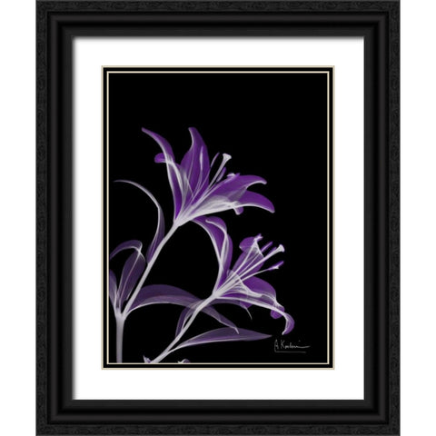 Purple Lily Black Ornate Wood Framed Art Print with Double Matting by Koetsier, Albert