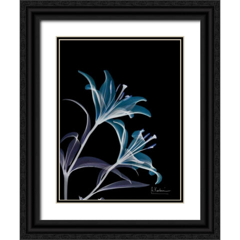Lily L145 Black Ornate Wood Framed Art Print with Double Matting by Koetsier, Albert