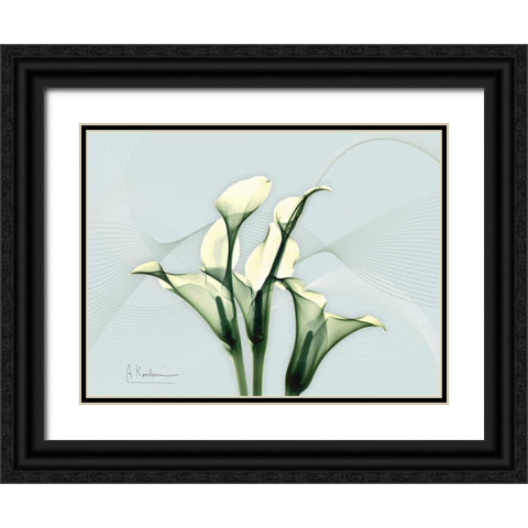 Calla Lily L275 Black Ornate Wood Framed Art Print with Double Matting by Koetsier, Albert