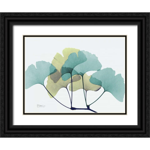 Gingko L140 Black Ornate Wood Framed Art Print with Double Matting by Koetsier, Albert