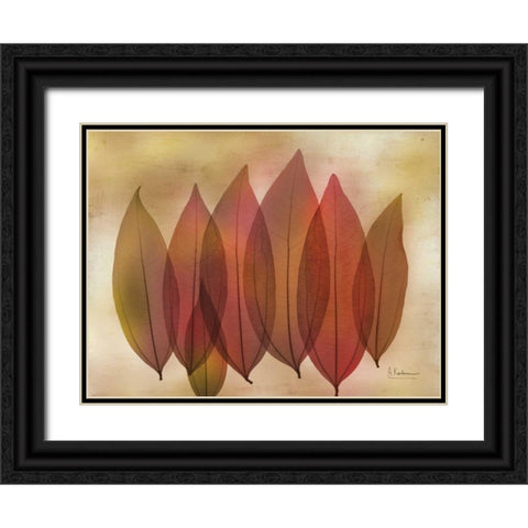 Harvest Light 1 Black Ornate Wood Framed Art Print with Double Matting by Koetsier, Albert