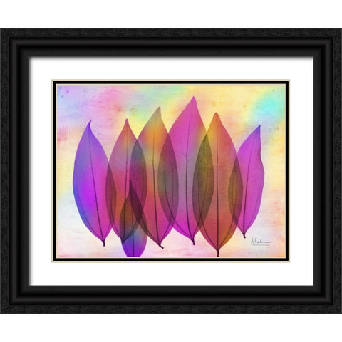 Retroluxed Coculus Black Ornate Wood Framed Art Print with Double Matting by Koetsier, Albert