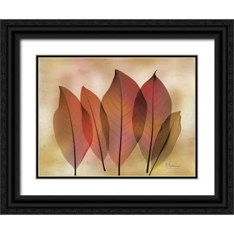 Harvest Light 2 Black Ornate Wood Framed Art Print with Double Matting by Koetsier, Albert