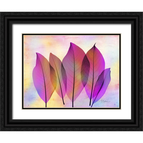 Retroluxed Magnoli Black Ornate Wood Framed Art Print with Double Matting by Koetsier, Albert