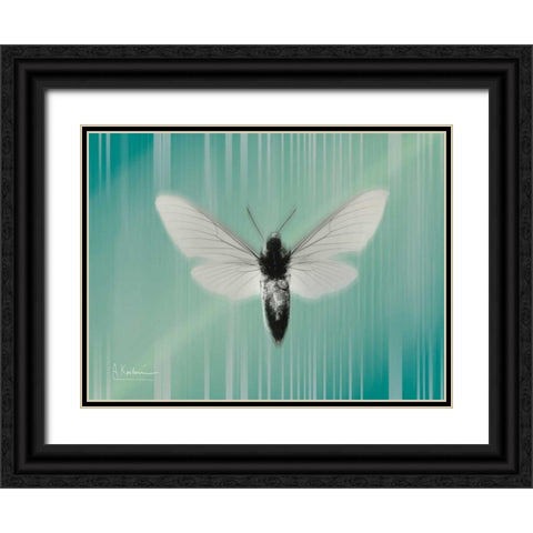 Manduca The Pilot Black Ornate Wood Framed Art Print with Double Matting by Koetsier, Albert