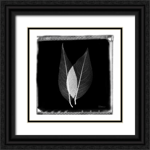Caplulin Cherry STAR Black Ornate Wood Framed Art Print with Double Matting by Koetsier, Albert