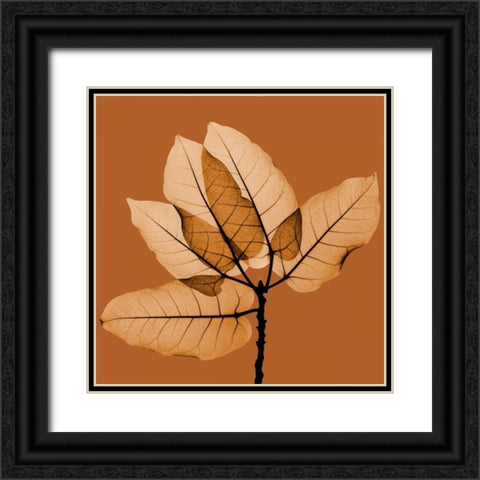 Harvest Leaves 1C Black Ornate Wood Framed Art Print with Double Matting by Koetsier, Albert
