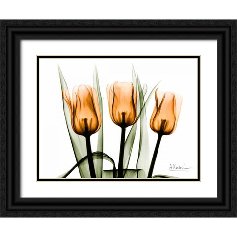 Tulips Orange Black Ornate Wood Framed Art Print with Double Matting by Koetsier, Albert