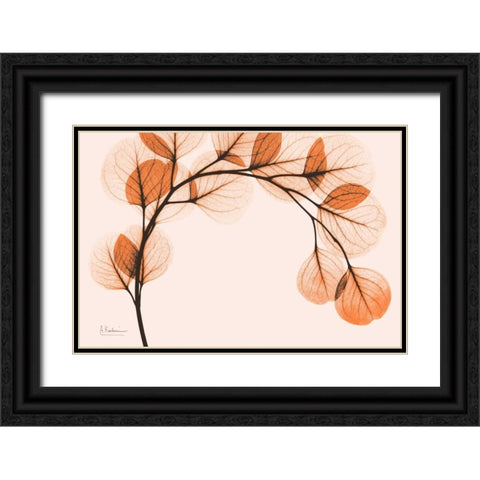 Orange Eucalyptus Black Ornate Wood Framed Art Print with Double Matting by Koetsier, Albert