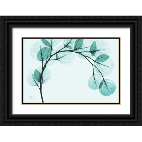 Teal Eucalyptus Black Ornate Wood Framed Art Print with Double Matting by Koetsier, Albert